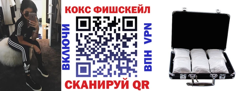 купить закладку  Мензелинск  КОКАИН Эквадор 