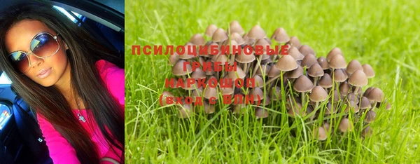 соль курить ск Аркадак