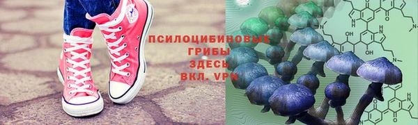 ПСИЛОЦИБИНОВЫЕ ГРИБЫ Балахна
