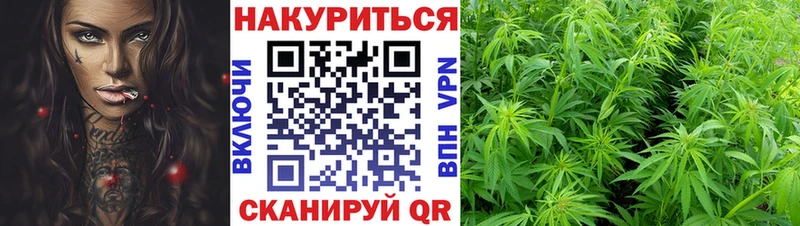 Бошки Шишки гибрид  магазин продажи наркотиков  Мензелинск 